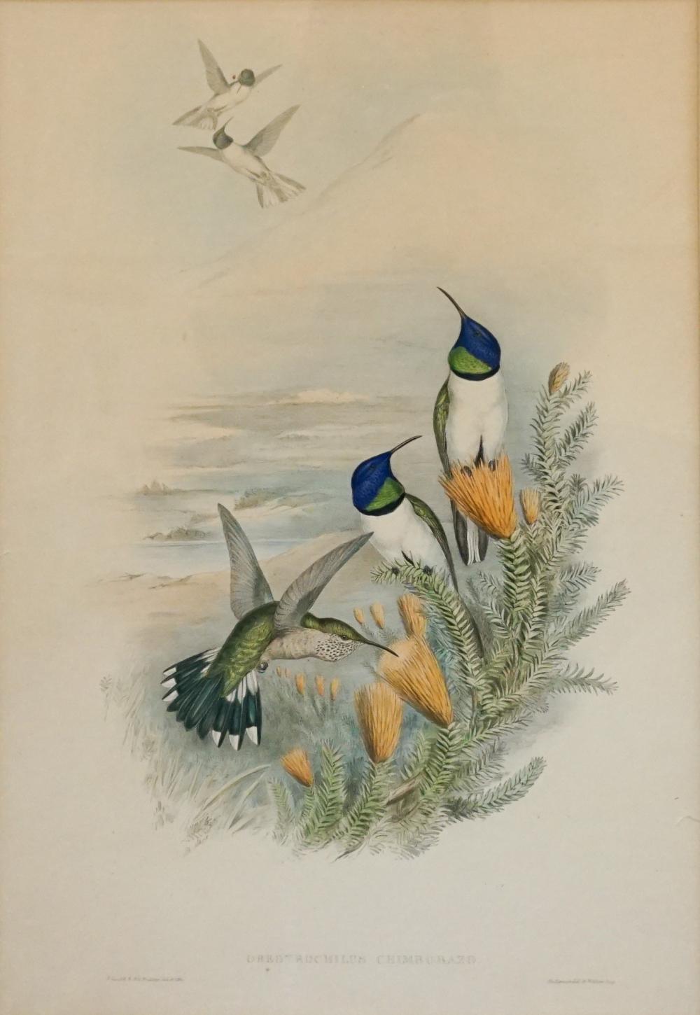 GOULD & RICHTER (BRITISH, 19TH