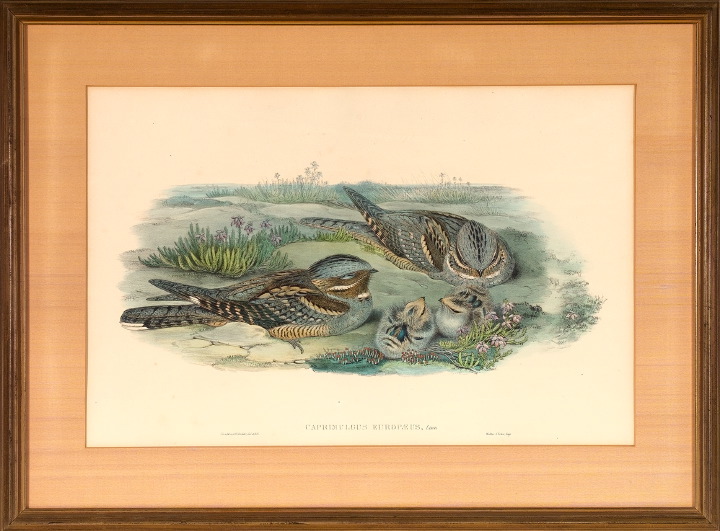 Gould & Richter (British, 19th
