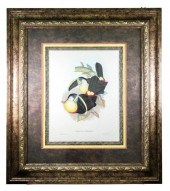GOULD & RICHTER HAND COLORED L