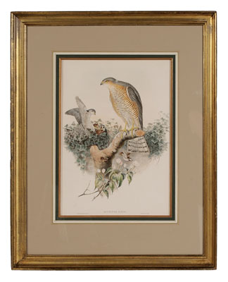 Gould & Richter Lithograph 19th