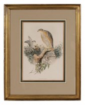 Gould & Richter Lithograph 19t