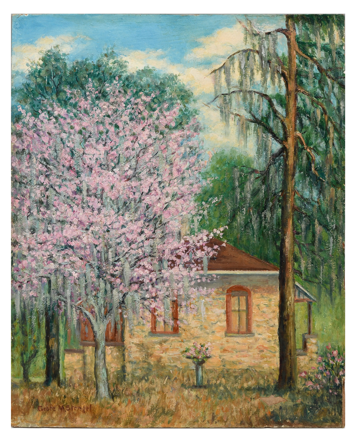 GRACE M. STENGEL ''FLORIDA REDBUD''