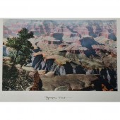 Grand Canyon of Arizona Hand-C