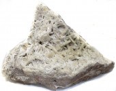 GRANITE GEODE SPECIMEN WITH CR