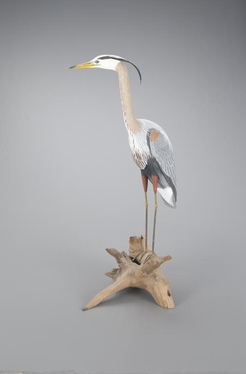 GREAT BLUE HERON WITH TURNED