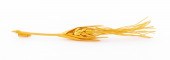 GREEK 22K YELLOW GOLD WHEAT BL
