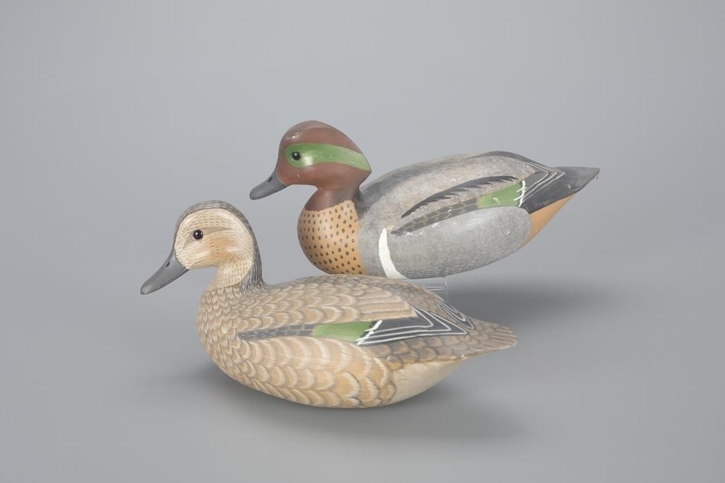 GREEN-WINGED TEAL PAIRHarry