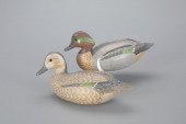 GREEN-WINGED TEAL PAIRHarry Vi