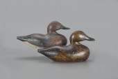 GREEN-WINGED TEAL PAIRPortland