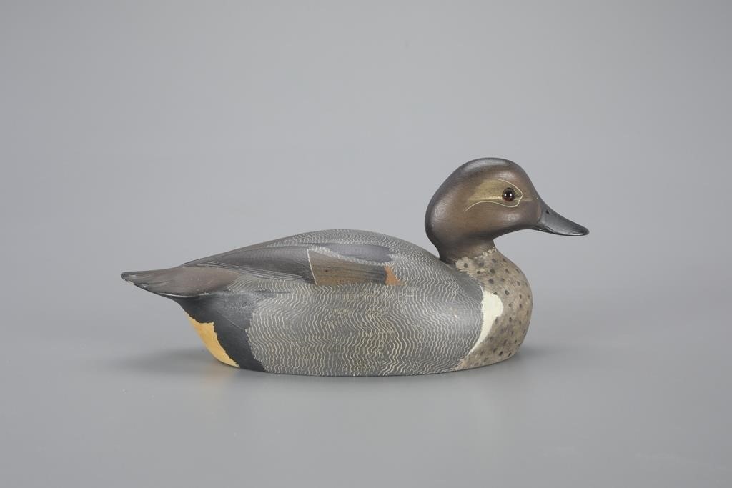 GREEN-WINGED TEALKen Harris