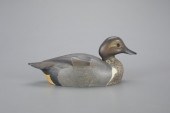 GREEN-WINGED TEALKen Harris (1