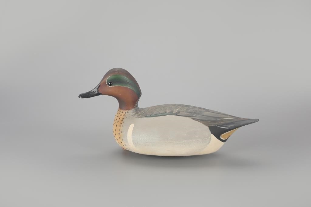 GREEN-WINGED TEALMarty Hanson (b.