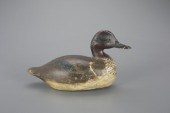 GREEN-WINGED TEALRay Baliel (1