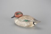 GREEN-WINGED TEALRobert G. Ker