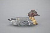 GREEN-WINGED TEALWilliam "Bill