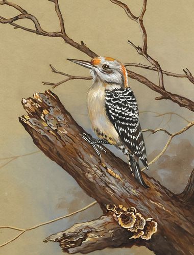 GREER CALHOUN (TX, 20TH C.) GOUACHE