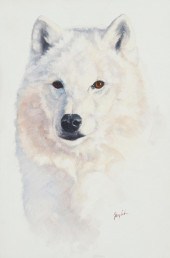 GREG WILSON, (B. 1962), ARCTIC