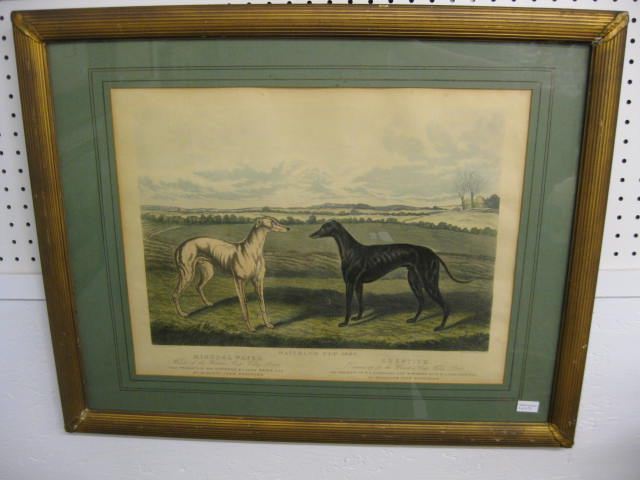 Greyhound Lithograph ''Waterloo Cup