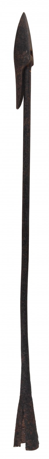 GROMMET IRON FOR SMALL CETACEA