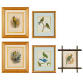 GROUP (5) ANTIQUE HAND-COLORED