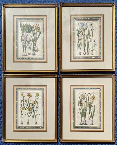 GROUP FOUR BOTANICAL