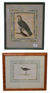 GROUP OF 10 FRAMED AND MATTED