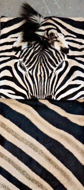 GROUP OF 2 ZEBRA SKIN PILLOW C