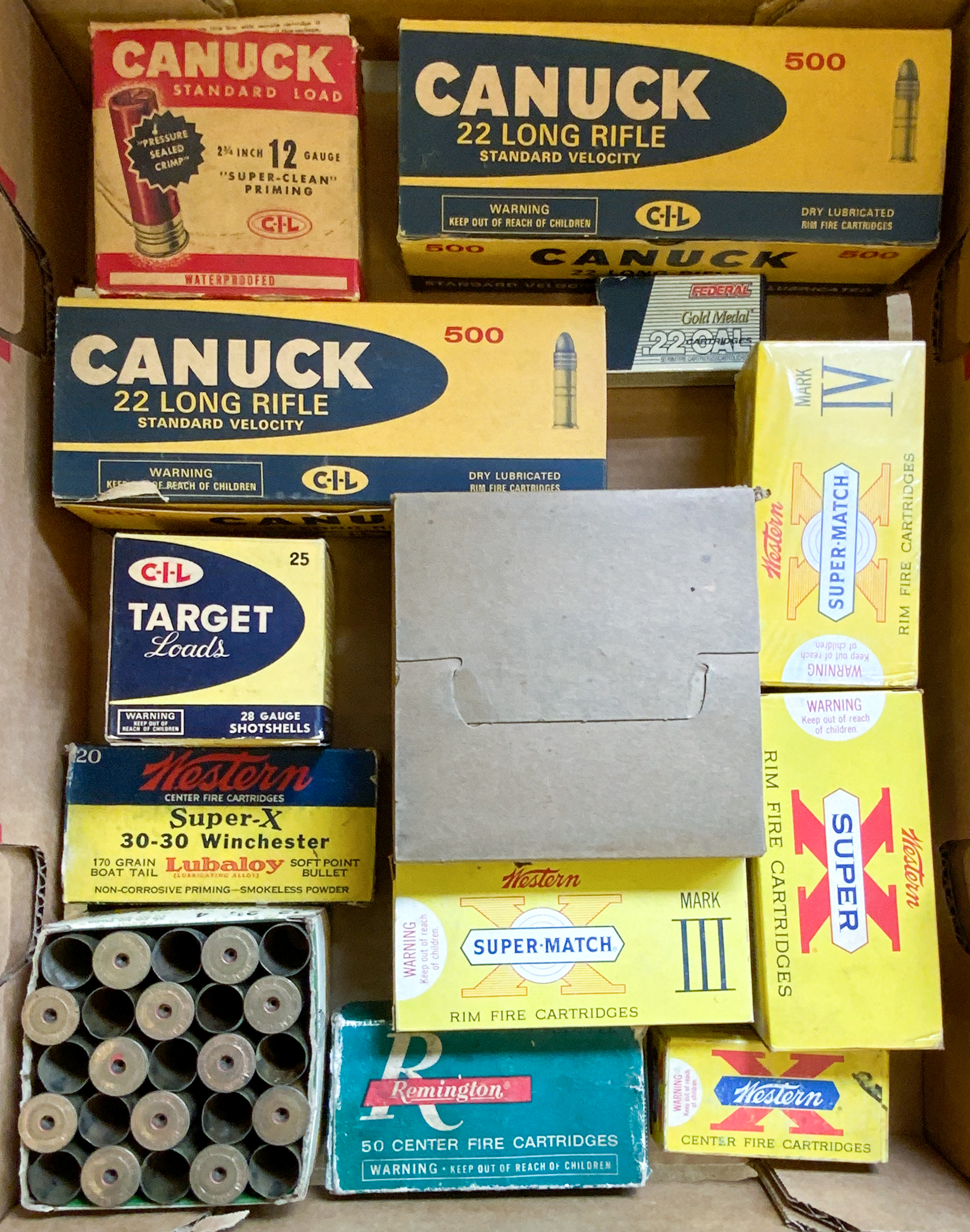 GROUP OF .22 RIMFIRE SHOTGUN SHELLS