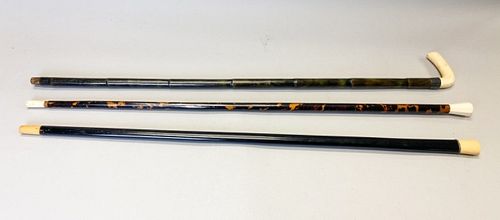 GROUP OF 3 CANESThree