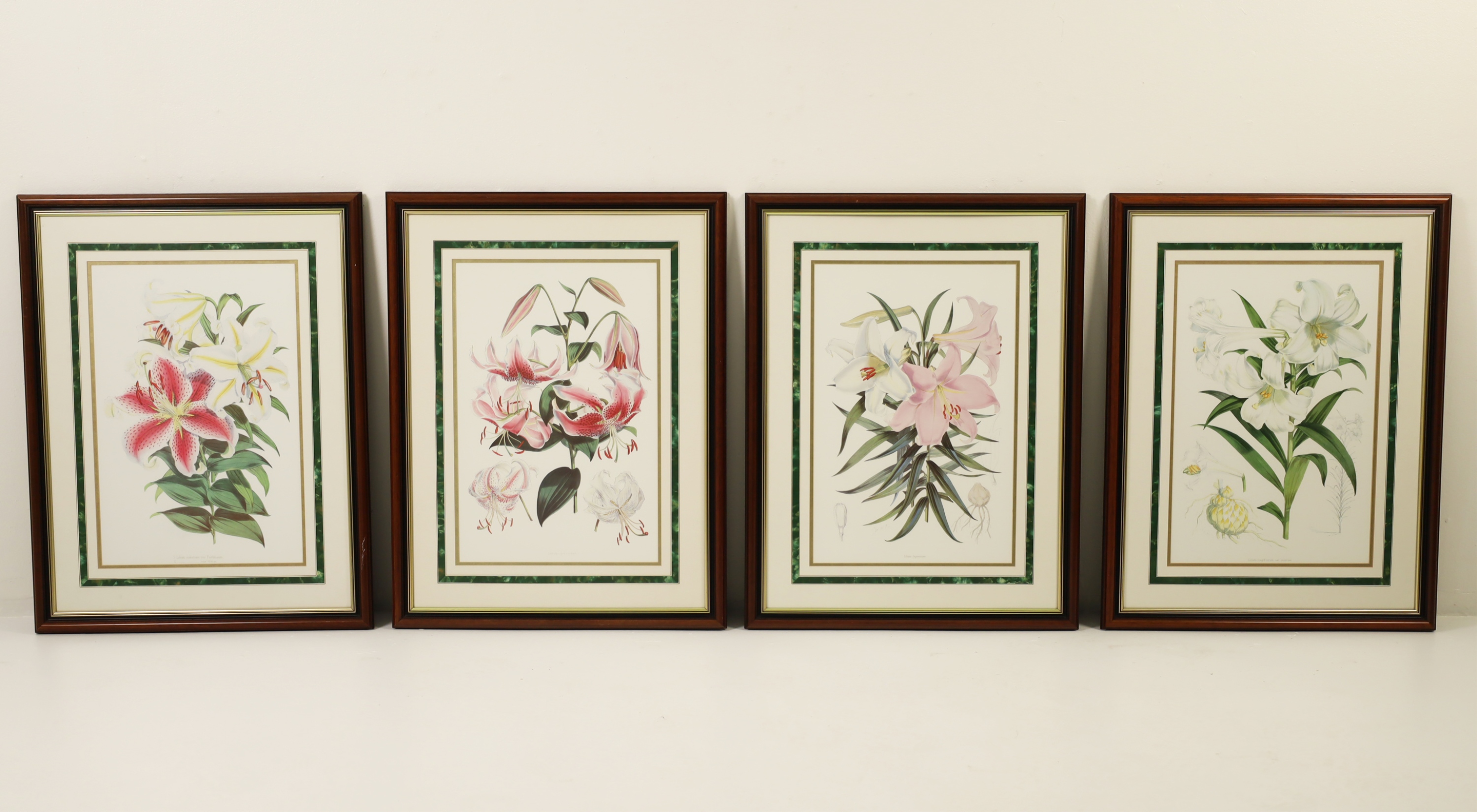 GROUP OF 4 FRAMED BOTANICALS