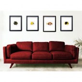 GROUP OF 4 FRAMED CHRISTOPHER
