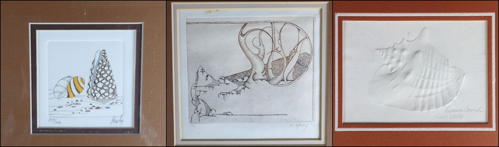 GROUP OF ART, QUEEN CONCH BY