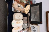 GROUP OF ASSORTED FOSSILS AND