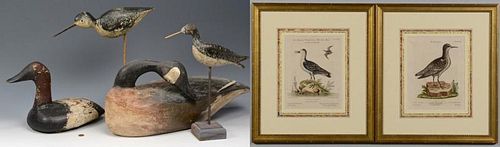 GROUP OF BIRD DECOYS AND 19TH C.