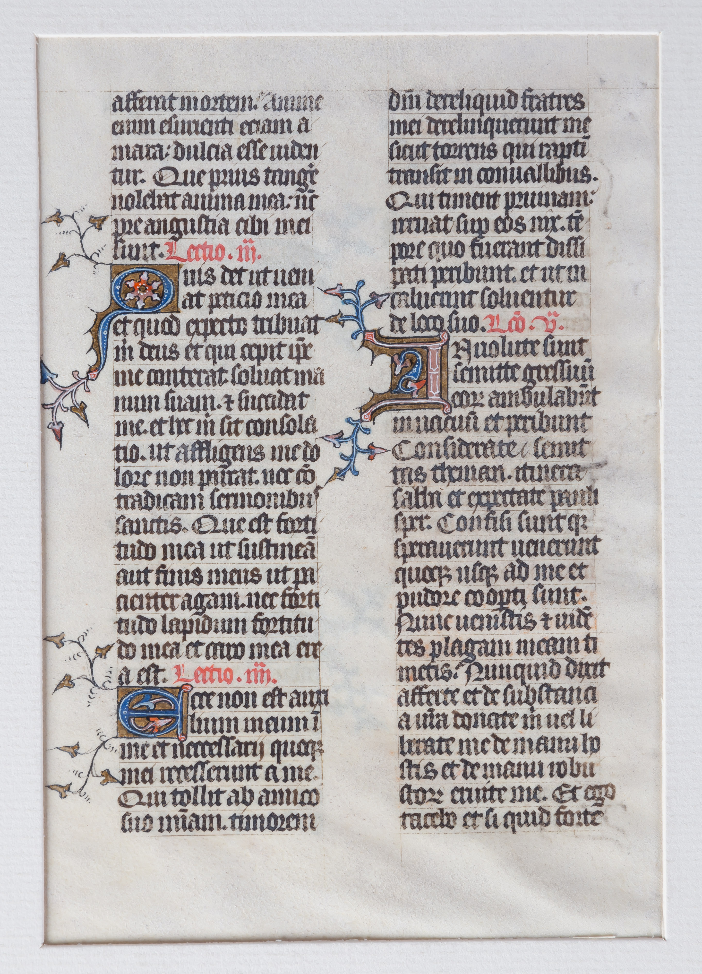 GROUP OF EARLY ILLUMINATED