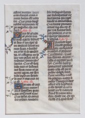 GROUP OF EARLY ILLUMINATED MAN