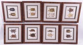 GROUP OF EIGHT PRINTS OF TURTL
