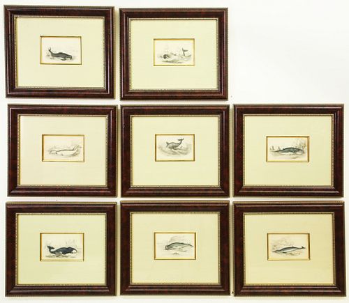 GROUP OF EIGHT WHALE PRINTS FROM