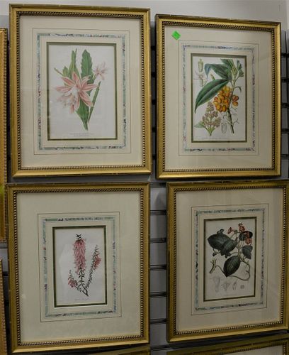 GROUP OF ELEVEN FRAMED BOTANICAL