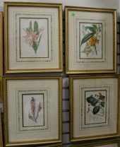 GROUP OF ELEVEN FRAMED BOTANIC