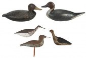 GROUP OF FIVE AMERICAN DUCK AN