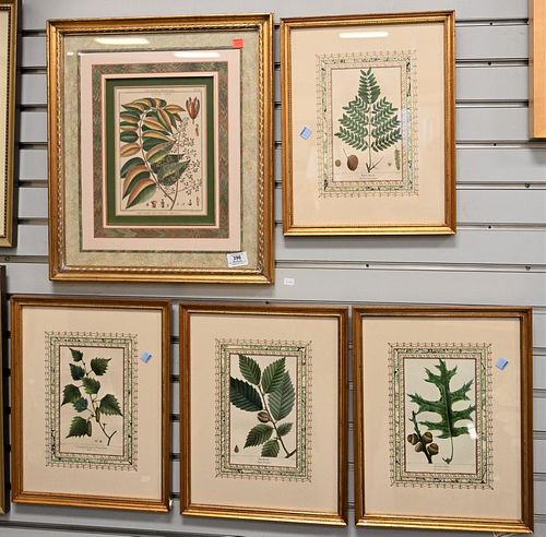GROUP OF FIVE BOTANICAL HAND