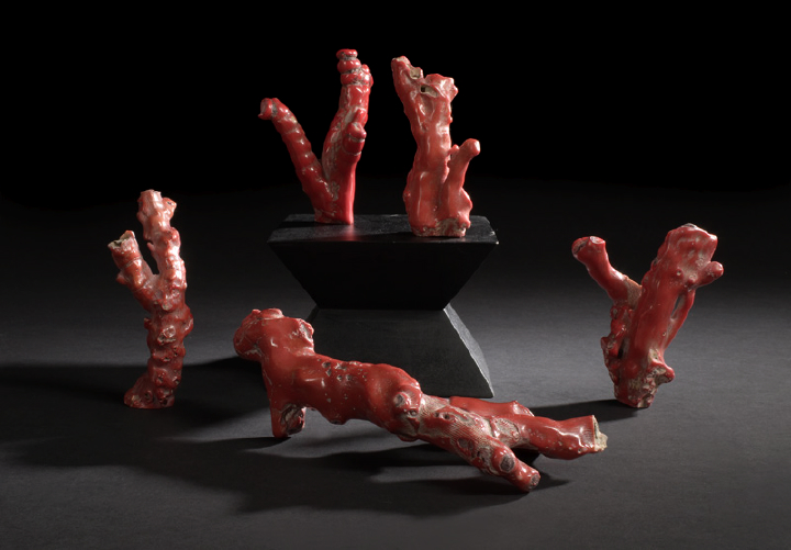 Group of Five Chinese Coral
