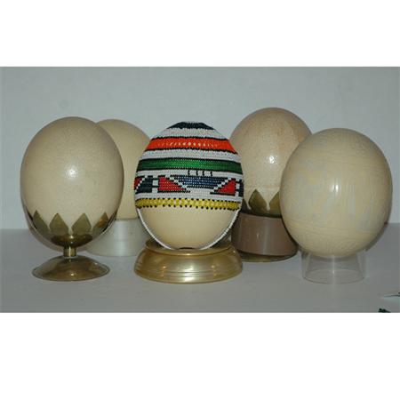 Group of Five Ostrich Eggs 	 