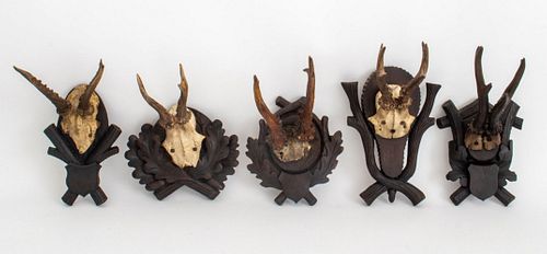 GROUP OF FIVE STAG&#039;S HEADS