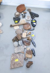 GROUP OF FOSSILS Including two