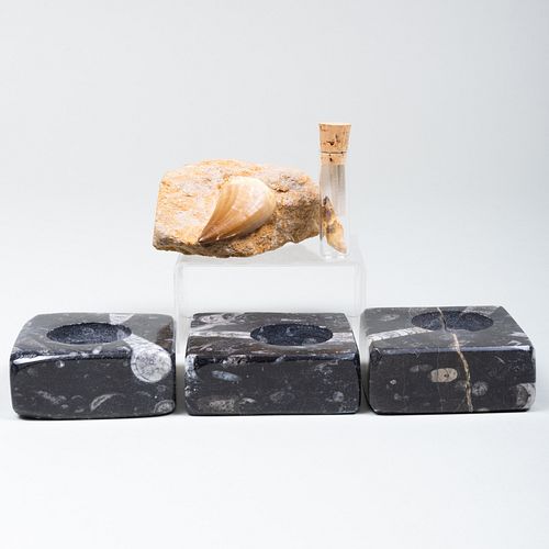 GROUP OF FOSSILSComprising: A