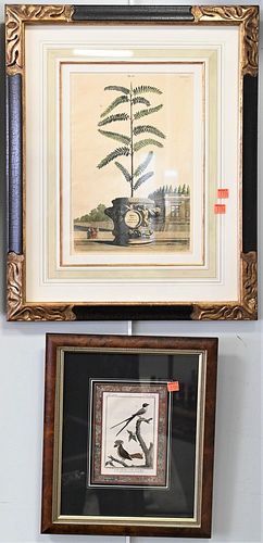 GROUP OF FOUR COLORED ENGRAVINGS,