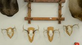 GROUP OF FOUR EUROPEAN MOUNTS