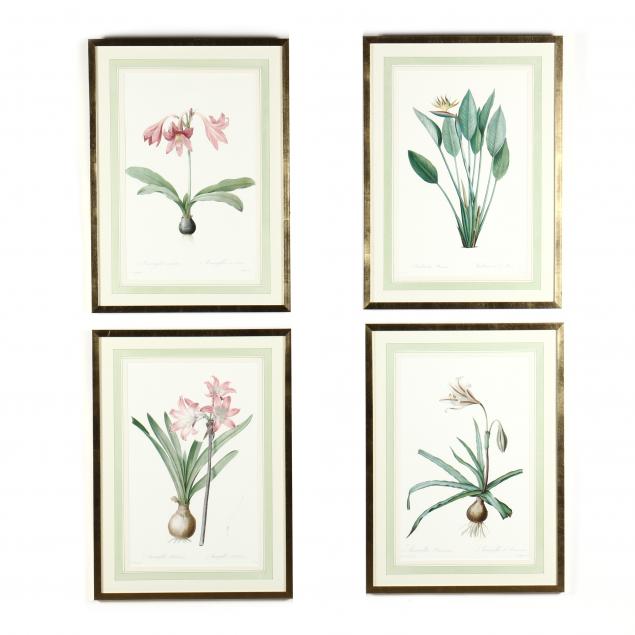 GROUP OF FOUR FRAMED BOTANICAL